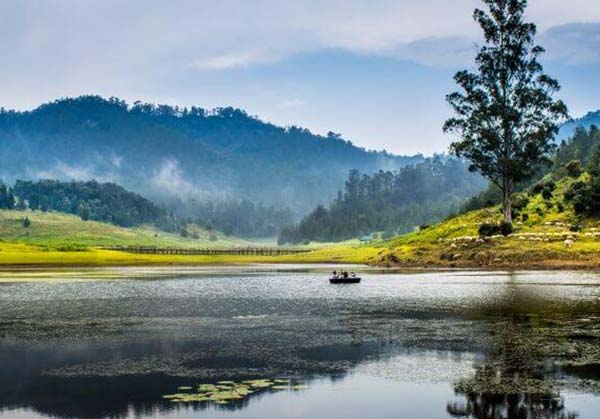 Kodaikanal Valparai 4  day tour from Vellore